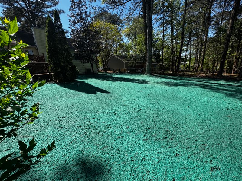 Hydroseeding