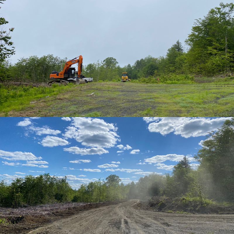 Land Clearing & Forestry Mulching