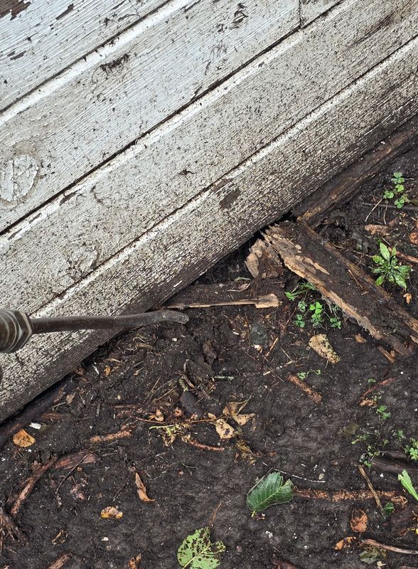Termite Inspection & Treatment