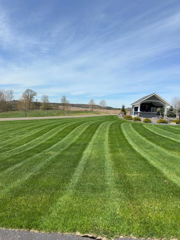 Lawn Maintenance
