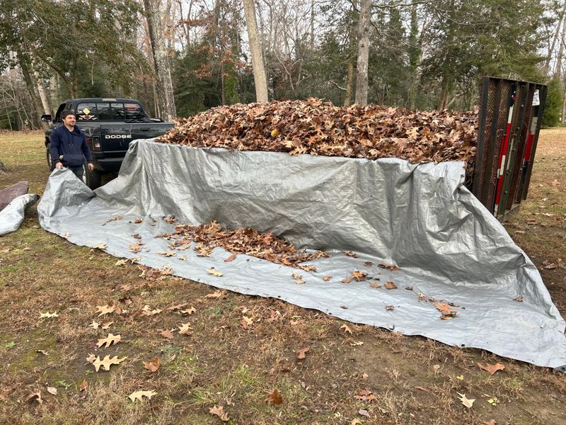 Leaf Removal 