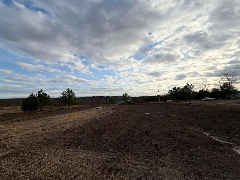 Land Clearing