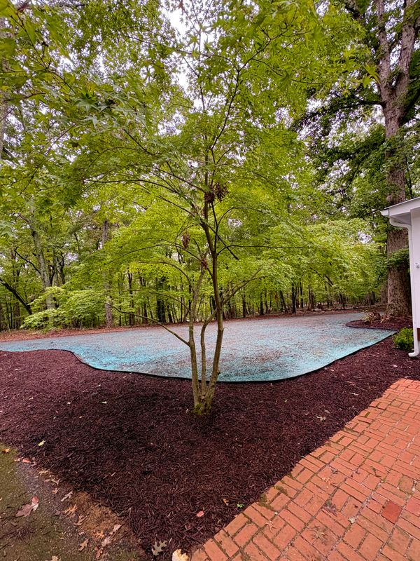 Hydroseeding