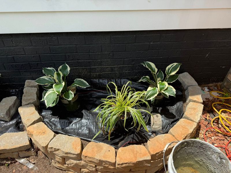 Landscape Design