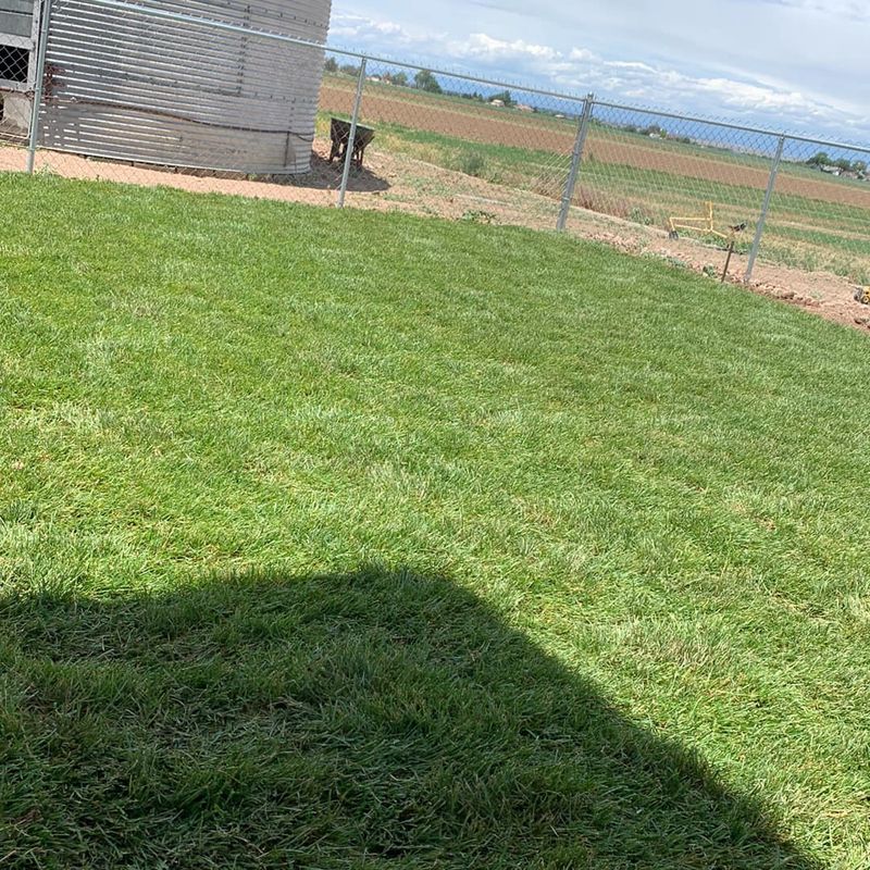 Irrigation
