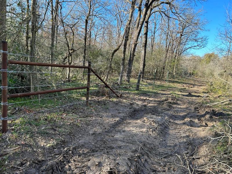 Fences