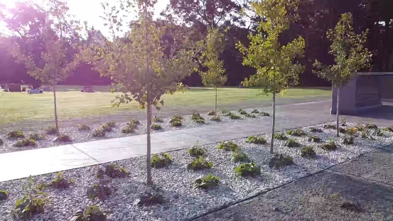 Landscape Design & Construction