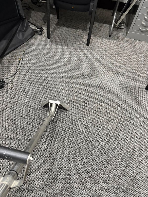 Carpet Cleaning