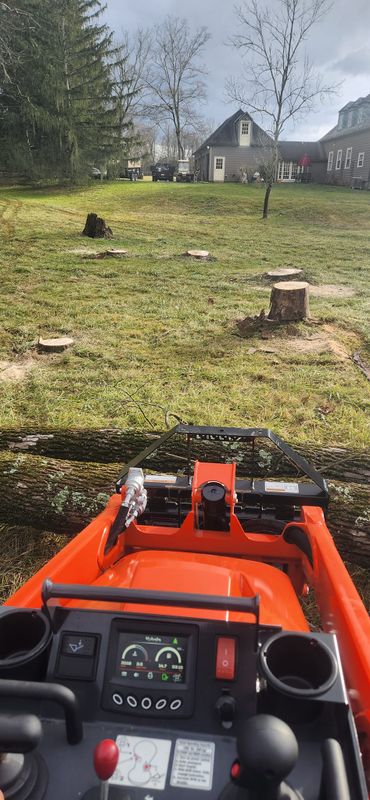 Tree & Shrub Care