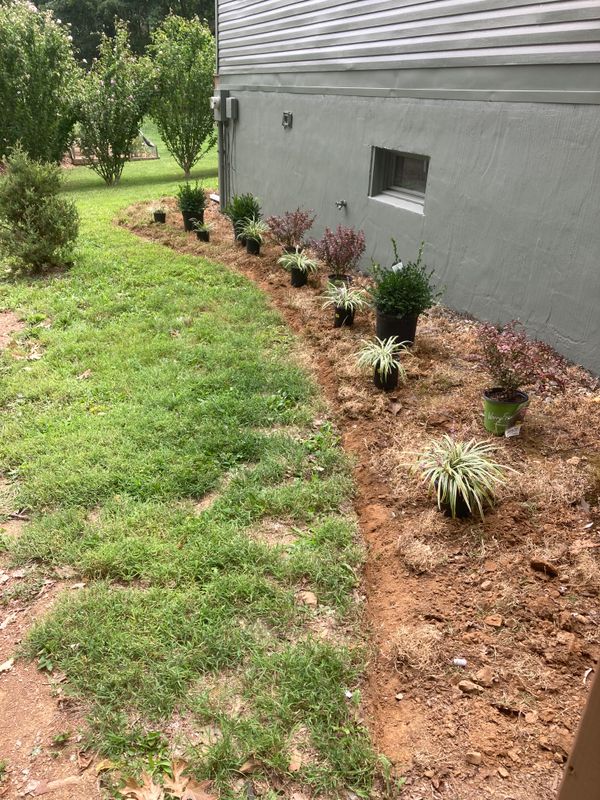 Plant & Shrub Installations