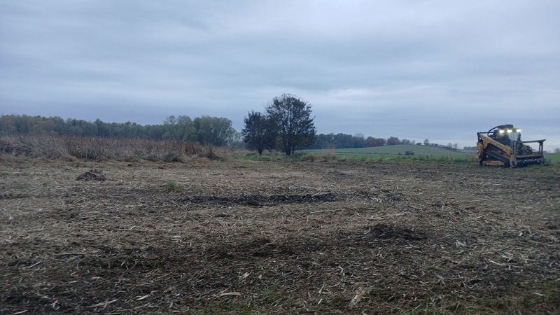 Forestry Mulching