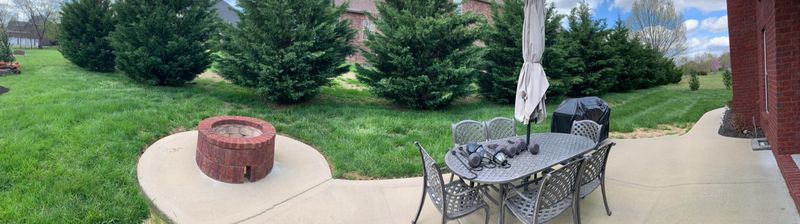 Shrub Trimming