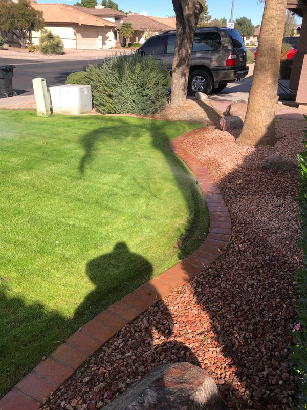 Lawn Aeration