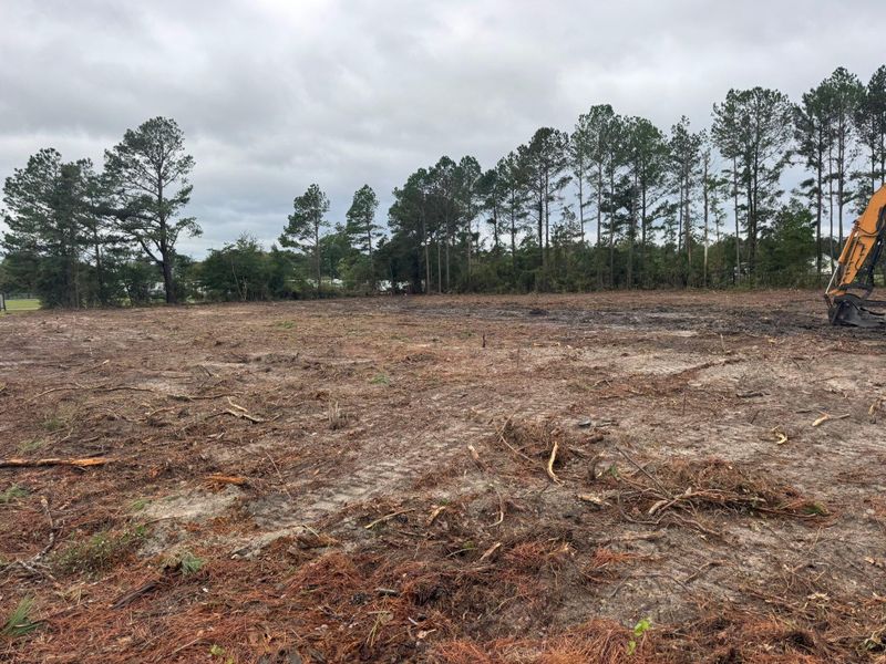 Forestry Mulching