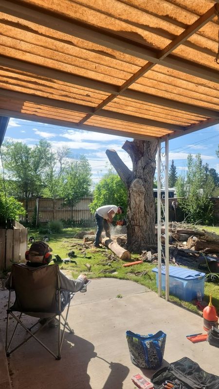 Tree Removal