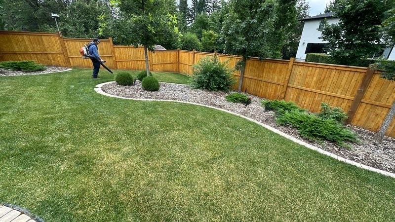 General Lawn Cleanup