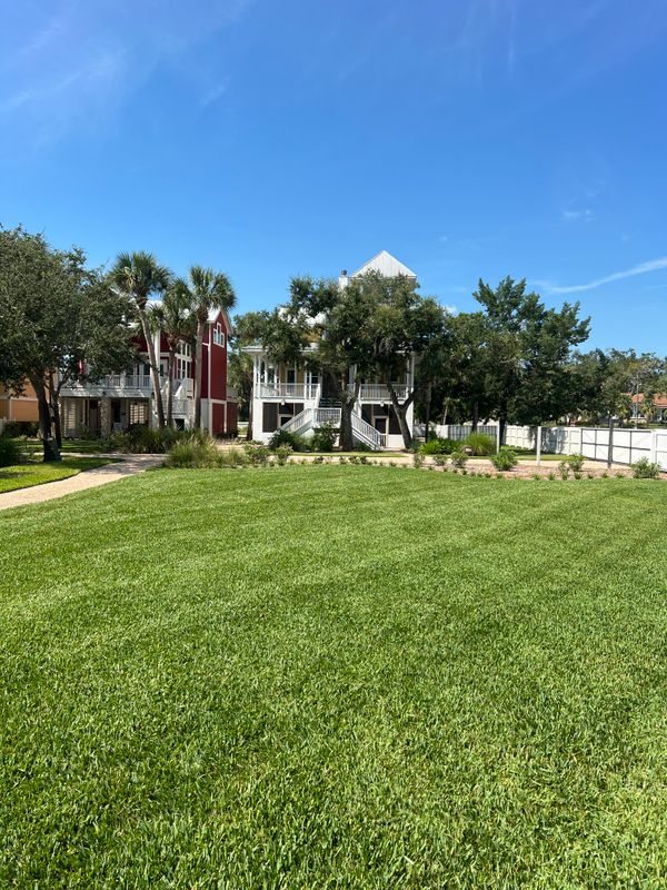 Sod Installation