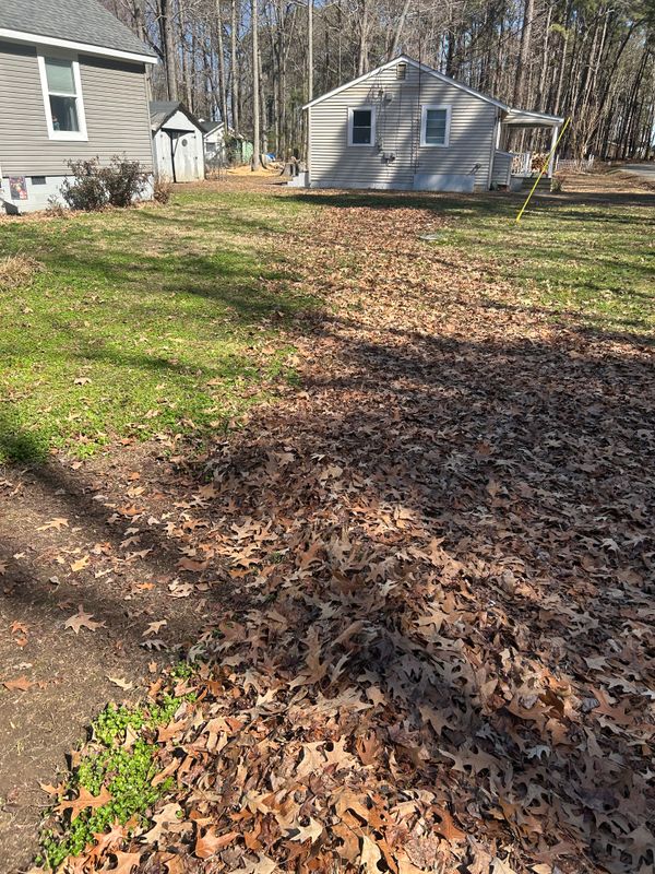 Leaf Removal  gallery