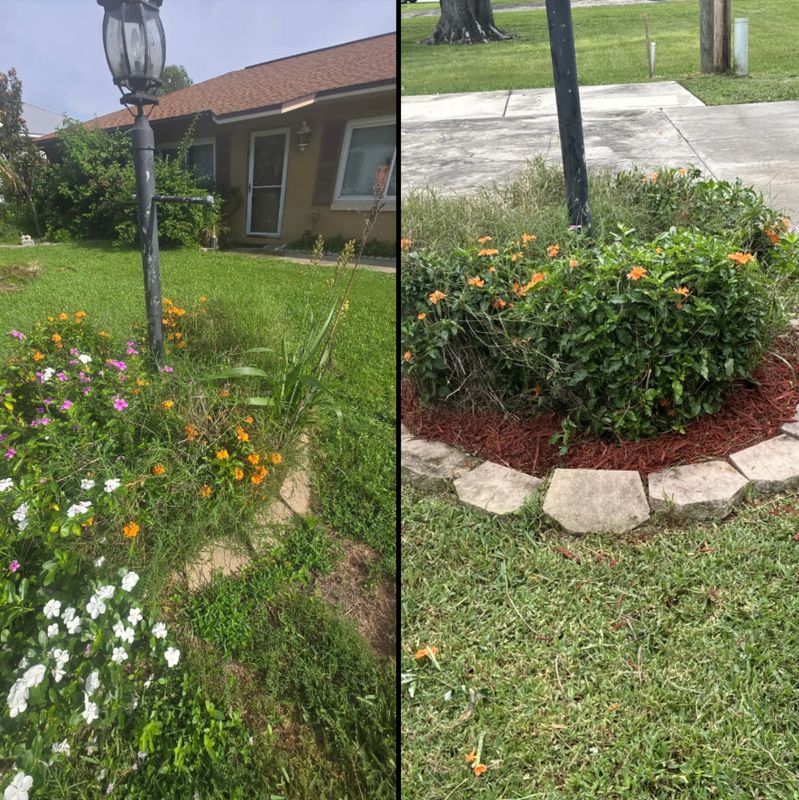 Lawn Care & Maintenance