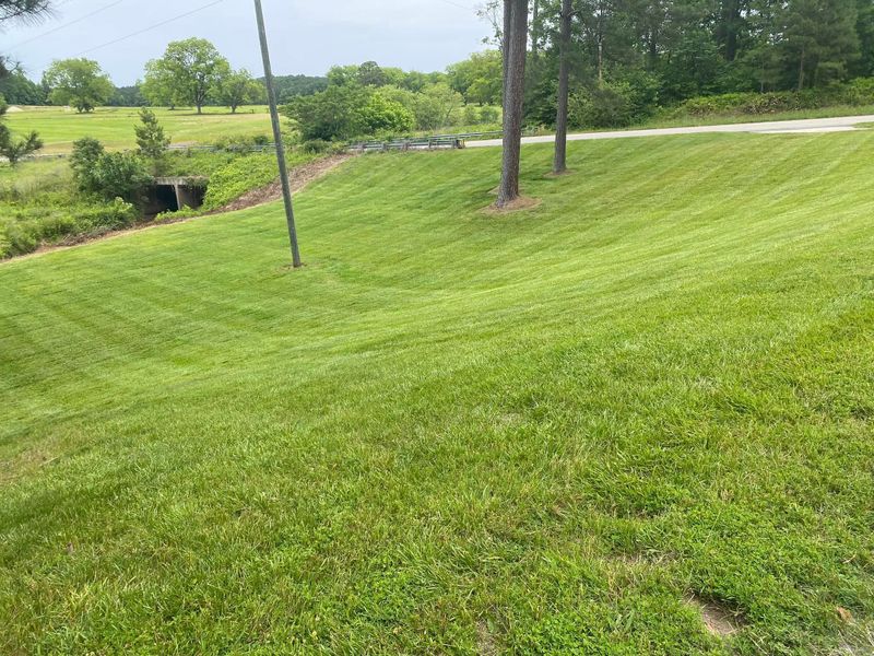 Lawn Mowing