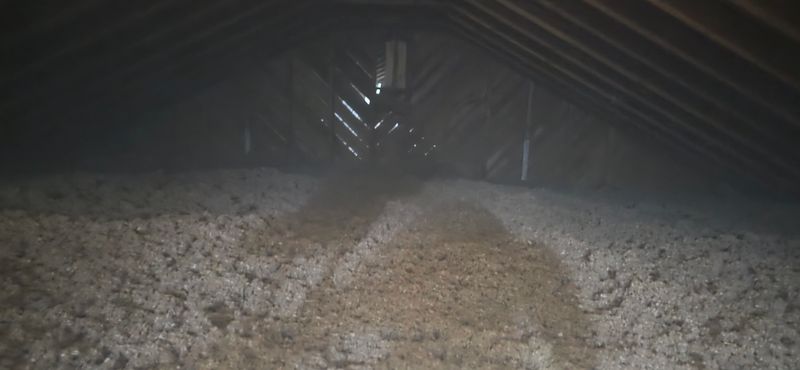 Eco-Friendly Insulation Options