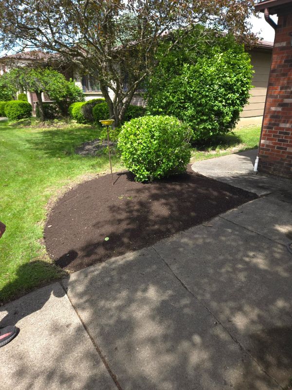 Shrub & Plant Installation Photos