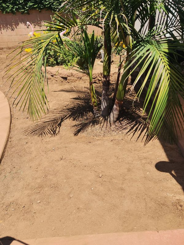 Garden Maintenances