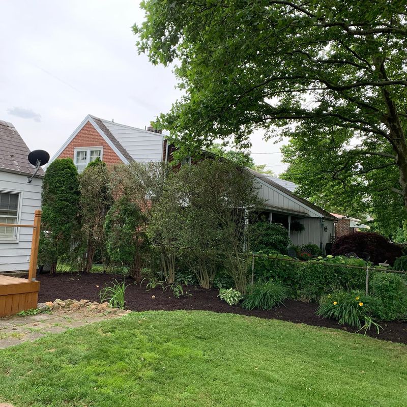 Landscaping
