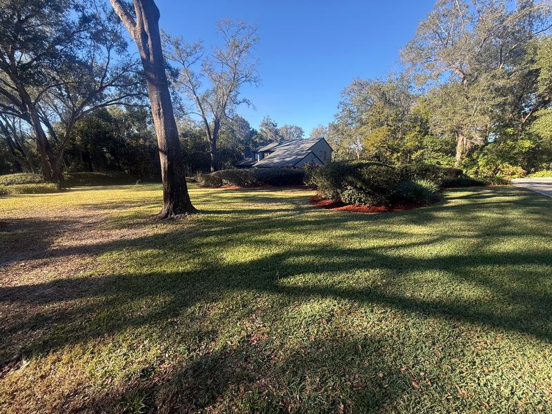 Mulch Installation