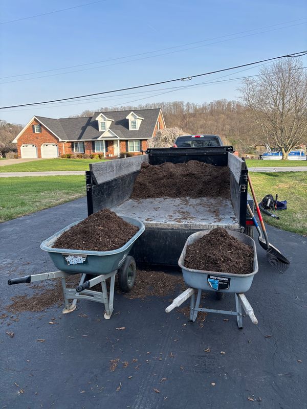 Lawn Maintenance
