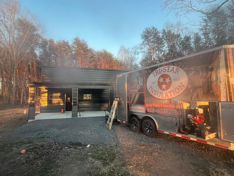 Eco-Friendly Insulation Options