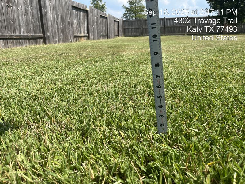 Lawn and Yard Maintenance