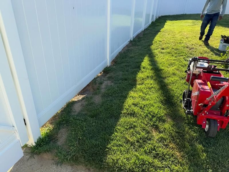Lawn Care & Maintenance