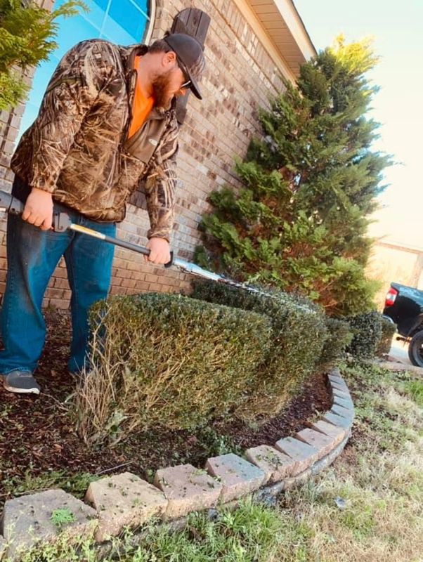 Shrub Care, Property Cleanup