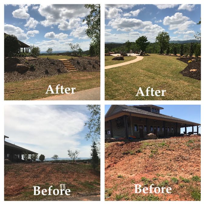 Landscape Design and Installation