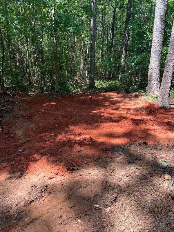 Land Clearing
