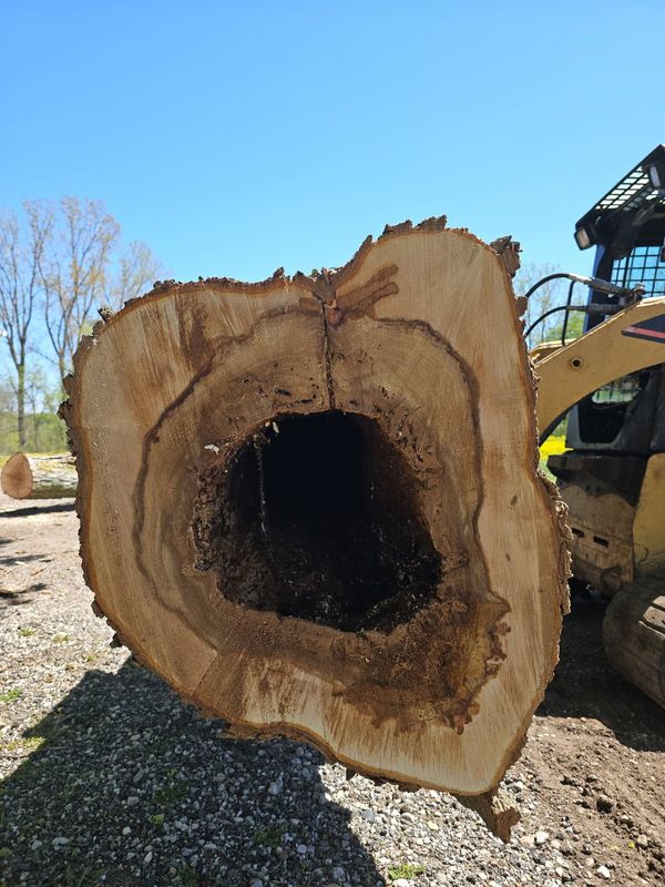 Tree Removal