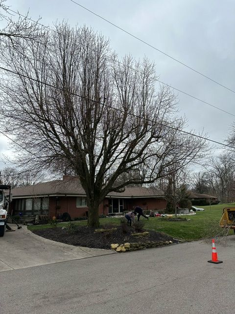 Crane Services