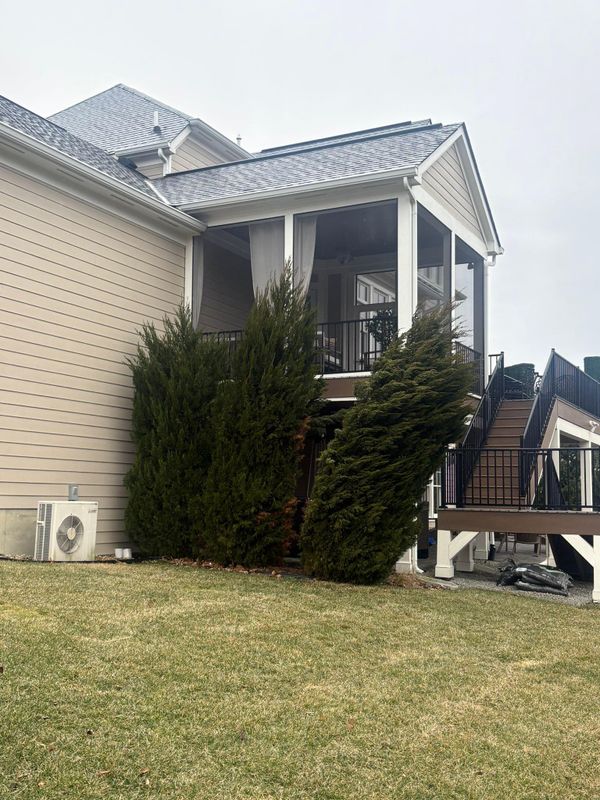 Shrub Trimming