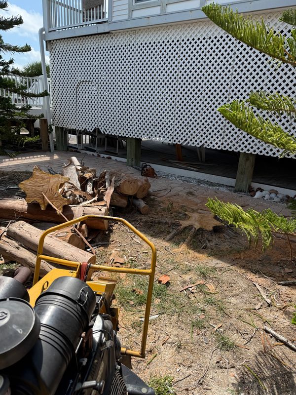 Stump Grinding