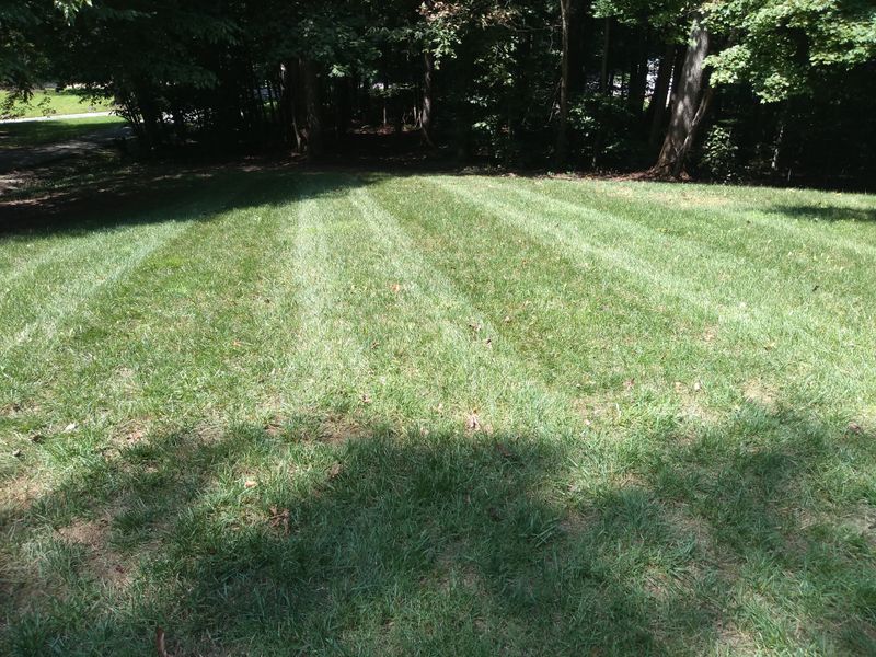 Grass Up