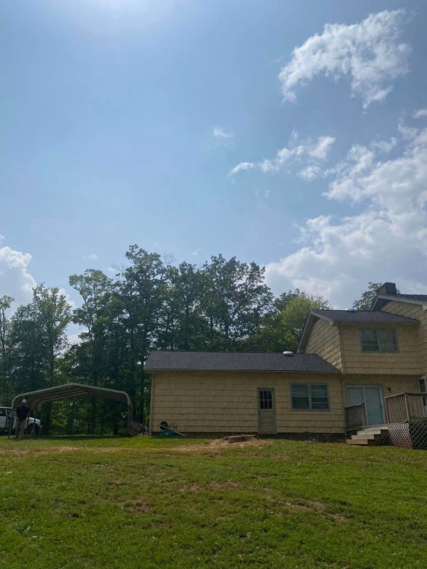 Tree Removal gallery