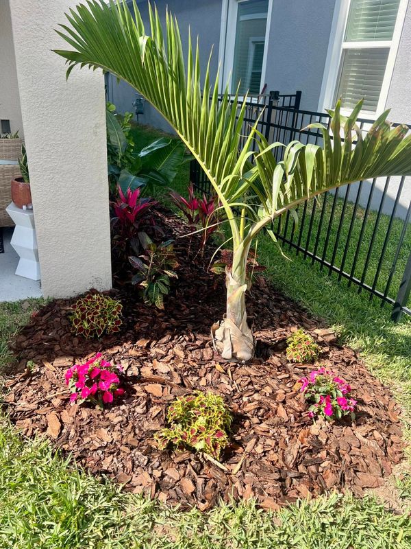 Hardscaping Landscaping