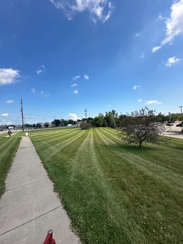 Lawn Care
