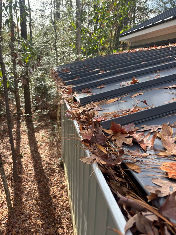 Gutter Cleaning