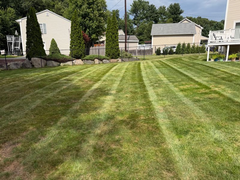 Lawn Maintenance