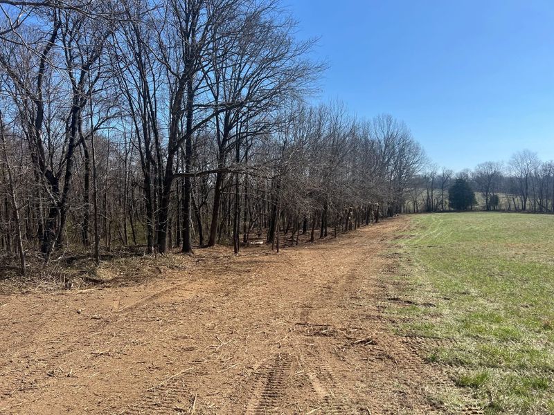 Forestry Mulching