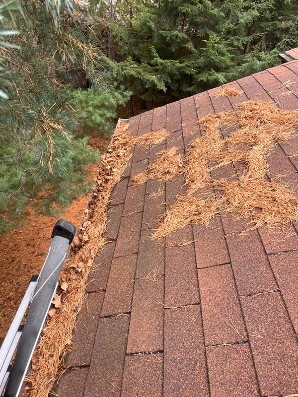 Gutter Cleaning & Repair