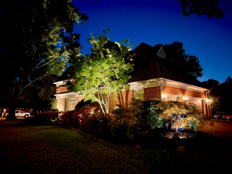 Landscape Lighting