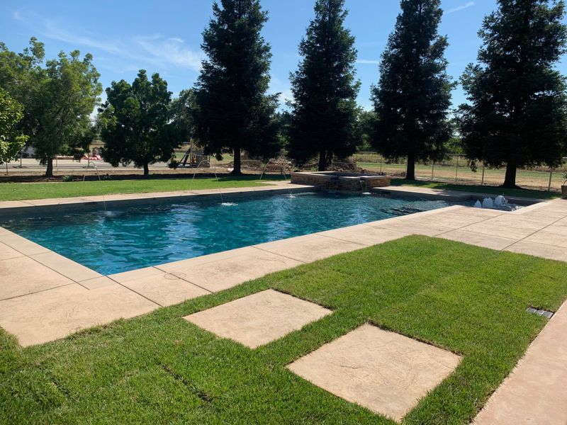 Custom Pool Design